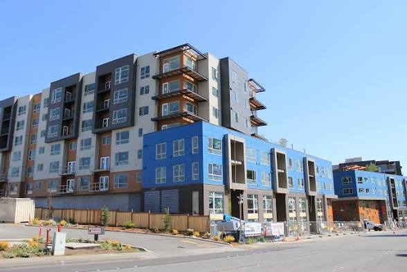 Agricultural & Farmland Investments image