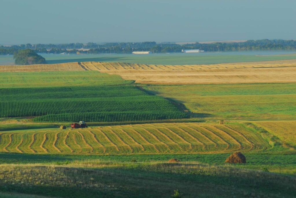 Agricultural & Farmland Investments image