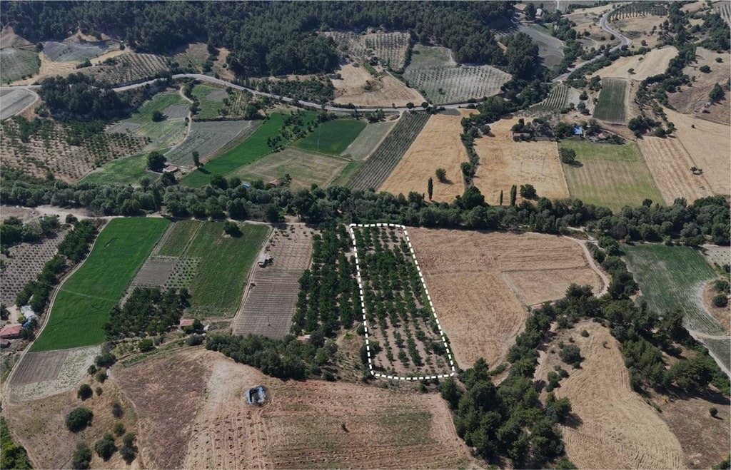 Agricultural & Farmland Investments image