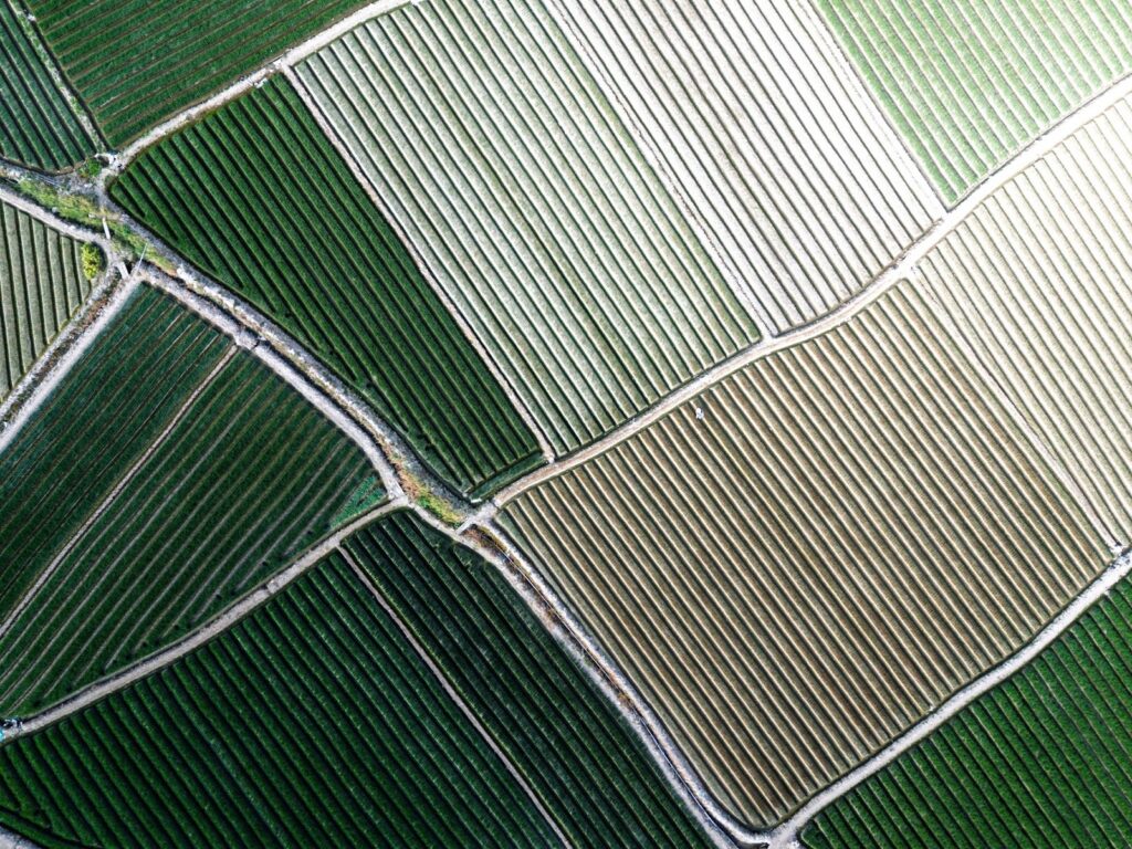 Agricultural & Farmland Investments image